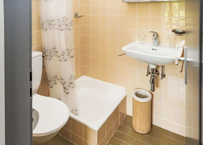 Rosablanche B22 By Interhome Siviez